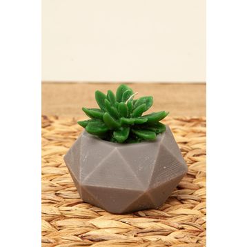 M'art Home 10 cm Sukulent Mum