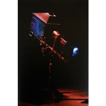 Mat Collishaw-Hayat Görüntü - kollektif
