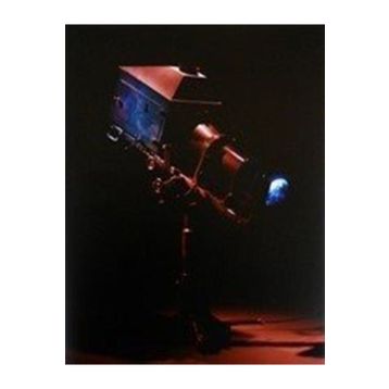 Mat Collishaw-Hayat Görüntü - kollektif
