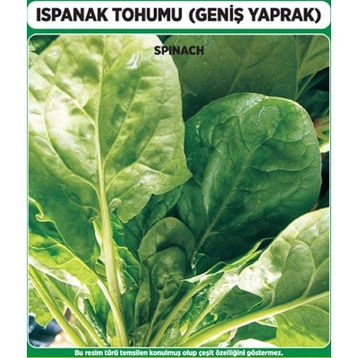 Matador 500 gr Ispanak Tohumu