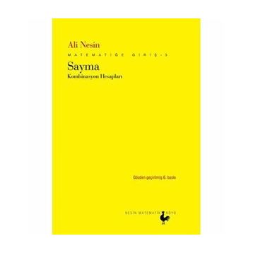 MATEMATİĞE GİRİŞ 3 SAYMA - ALI NESIN