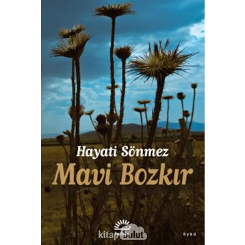 Mavi Bozkır - Hayati Sönmez