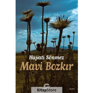 Mavi Bozkır - Hayati Sönmez