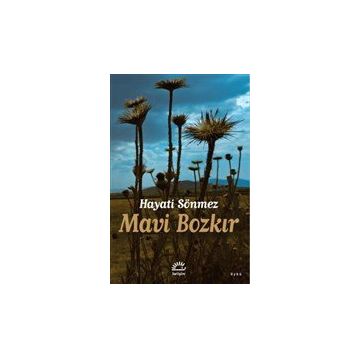 Mavi Bozkır - Hüseyin Sönmez