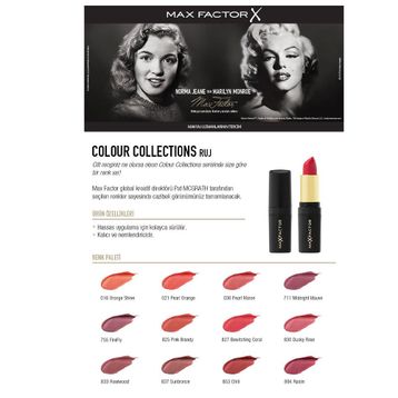 Max Factor Lasting Colour Collections Lipstick 833 Ruj
