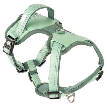 Max & Molly Matrix 2.0 Akıllı Künyeli Sport Jade Small Köpek Göğüs Tasması