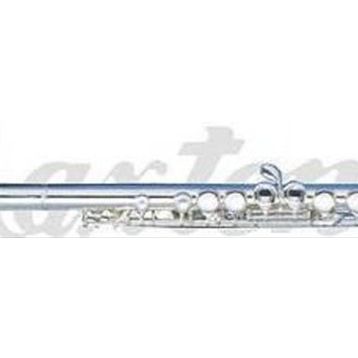 Maxtone TF48ES Flüt E Silver Wcase Aksesuar