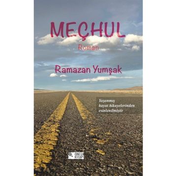 MEÇHUL - GAYE BORALIOĞLU (ISBN:9789750502211)