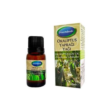 Mecitefendi 10 ml Okaliptus Yaprağı Yağı