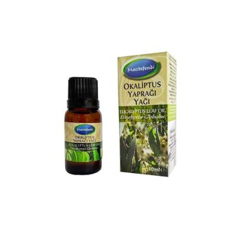 Mecitefendi 10 ml Okaliptus Yaprağı Yağı