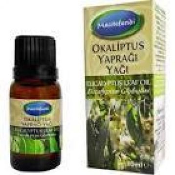 Mecitefendi 10 ml Okaliptus Yaprağı Yağı