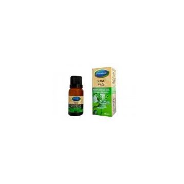 Mecitefendi 10 ml Saf Nane Yağı
