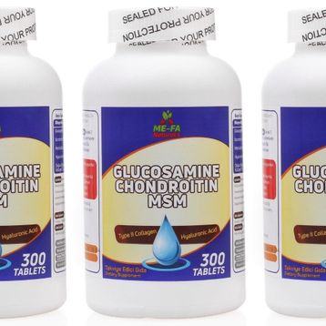 Mefa Naturals Glucosamine Chondroitin MSM 300 Tablet