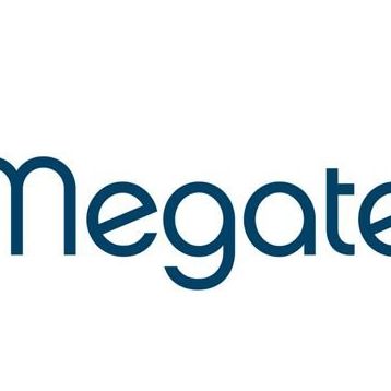 Megatech 3.1A A Serisi Micro Data Kablosu