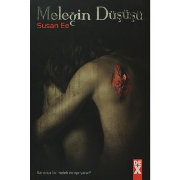 MELEĞİN DÜŞÜŞÜ - SUSAN EE