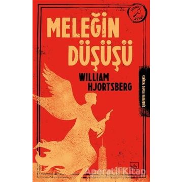 Meleğin Düşüşü - William Hjortsberg