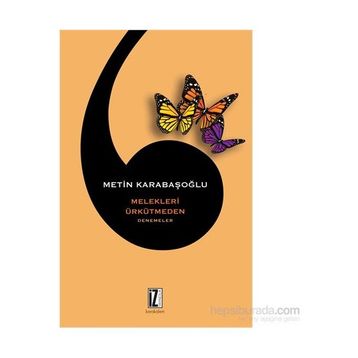 Melekleri Ürkütmeden - Metin Karabaşoğlu