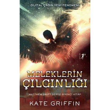 Meleklerin Çılgınlığı - Kate Griffin