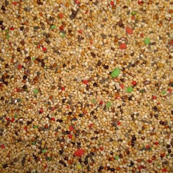 Memişoğlu Baharat 1 kg Multi Vitaminli Kuşyemi