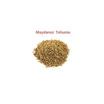 Memişoğlu Baharat 500 gr Maydanoz Tohumu