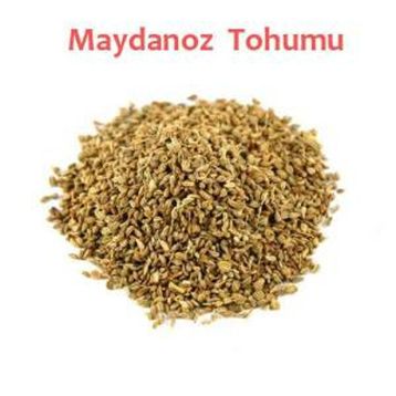 Memişoğlu Baharat 500 gr Maydanoz Tohumu