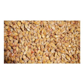 Memişoğlu Baharat 500 gr Süpürge Tohumu