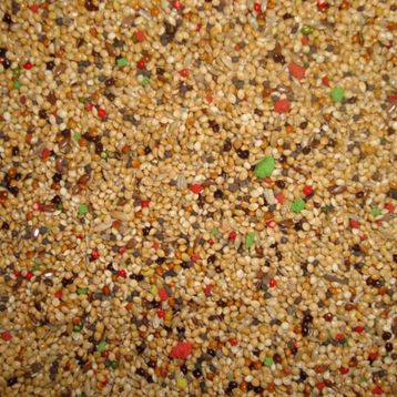 Memişoğlu Baharat 500 gr Vitaminli Kuşyemi