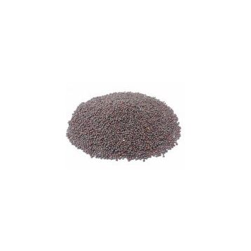 Memişoğlu Baharat Siyah 100 gr Hardal Tohumu