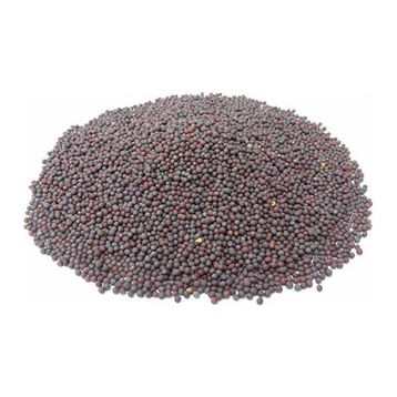 Memişoğlu Baharat Siyah 100 gr Hardal Tohumu