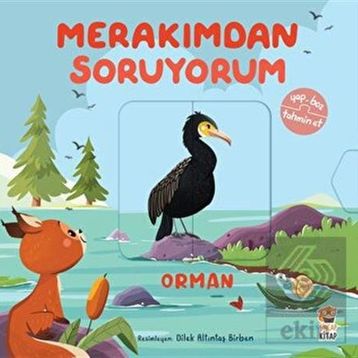 Merakımdan Soruyorum - Orman Sincap Kitap