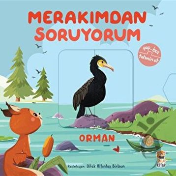 Merakımdan Soruyorum - Orman Sincap Kitap
