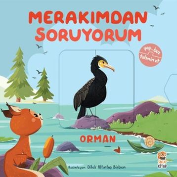 Merakımdan Soruyorum - Orman Sincap Kitap