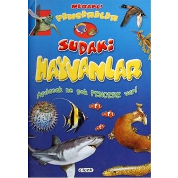 Meraklı Pencereler - Sudaki Hayvanlar - Kollektif Heyet-Kurul-Komisyon