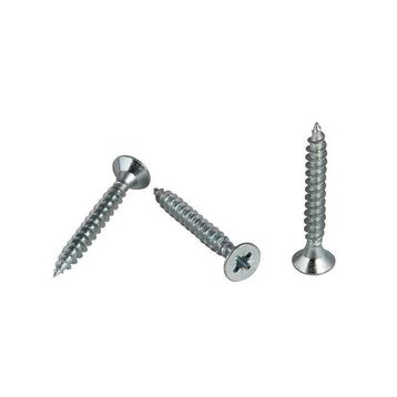 Meridyen 4.0x20 mm 100 Adet Sunta Vidası