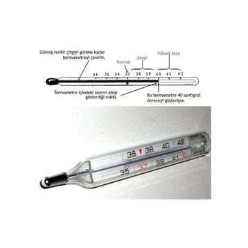 Mesilife CRW1108 Ateş Ölçer