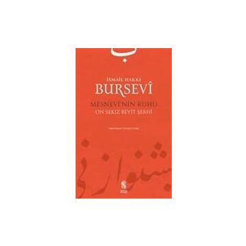 MESNEVI'NIN RUHU - İSMAİL HAKKI BURSEVI
