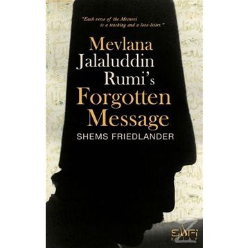 Mevlana Jalaluddin Rumi’s Forgotten Message - Shems Friedlander