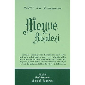 MEYVE RISALESI (ORTA BOY) - BEDİÜZZAMAN SAID NURSI