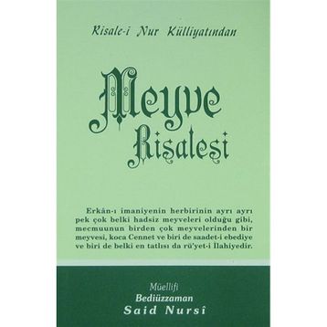 MEYVE RISALESI (ORTA BOY) - BEDİÜZZAMAN SAID NURSI
