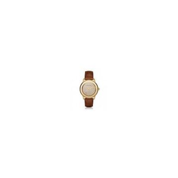 Michael Kors MK2455 Kadın Kol Saati