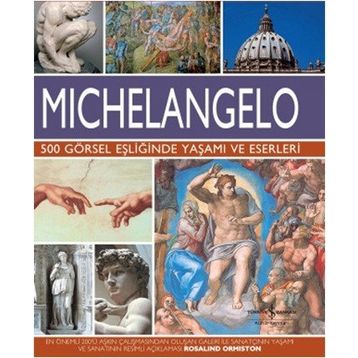 Michelangelo - Rosalind Ormiston