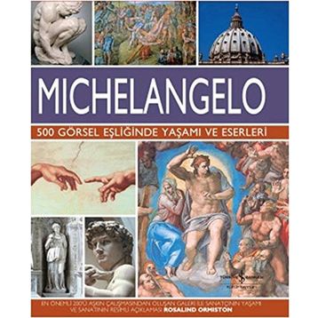 Michelangelo - Rosalind Ormiston