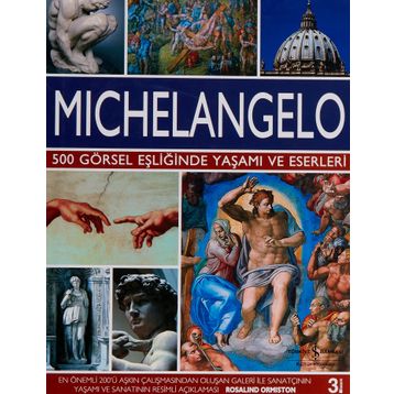 Michelangelo - Rosalind Ormiston
