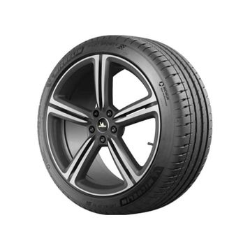 Michelin 255/40 R19 100Y XL Pilot Sport 4 RG Yaz Lastiği 2026