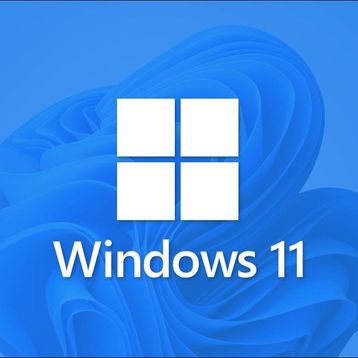 Microsoft Windows 11 Pro OEM 64 Bit Türkçe İşletim Sistemi