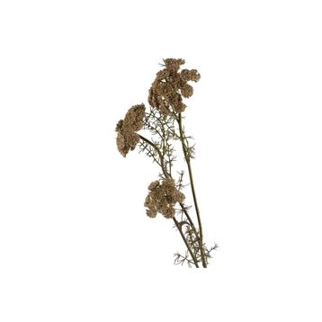 Mikasa Moor Daucus Carota 73 cm Yapay Çiçek