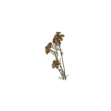 Mikasa Moor Daucus Carota 73 cm Yapay Çiçek