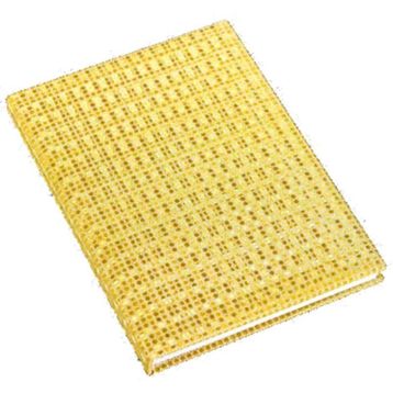 Mikro NT-27 Noktalı Not Defteri