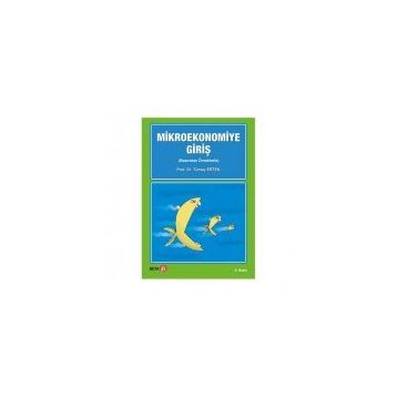 MIKROEKONOMIYE GİRİŞ - TEMEL ERGUN
