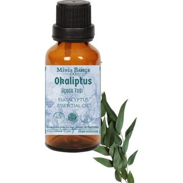 Minia Bahçe 10 ml Okaliptus Uçucu Yağı